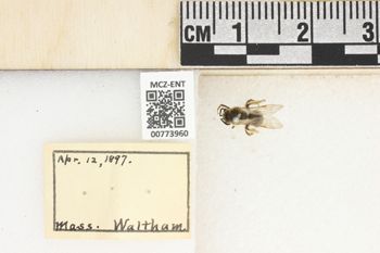 Media type: image;   Entomology 773960 Aspect: Labels